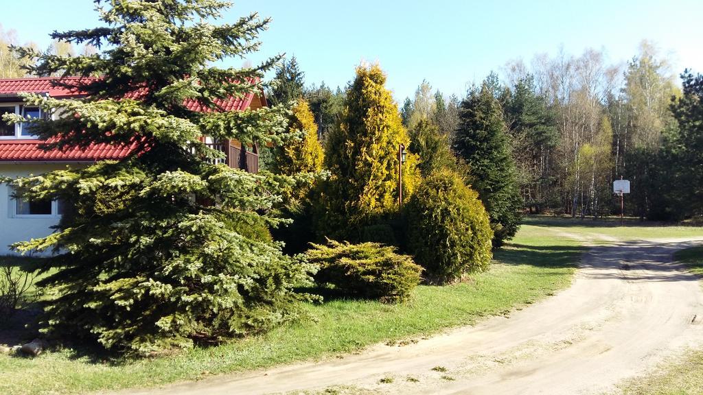 Farma Pod Klonem Wąglikowice