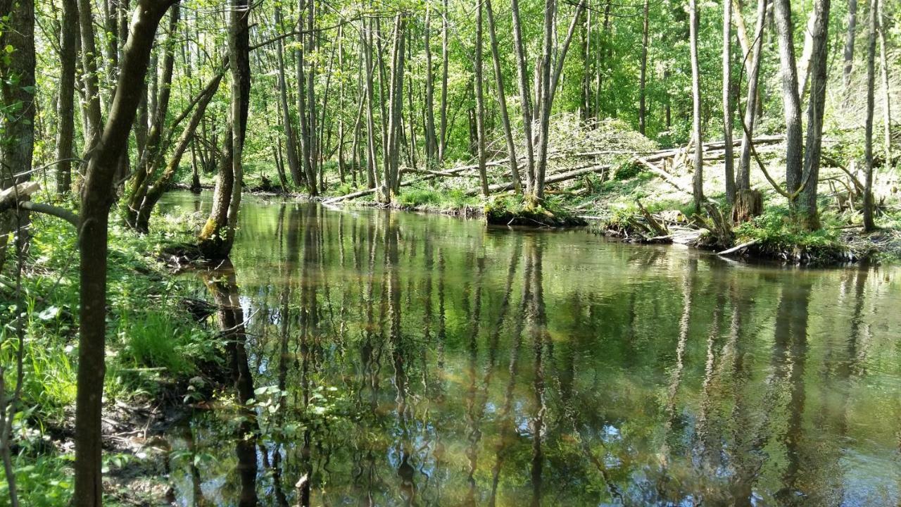 Pod Klonem * Wąglikowice